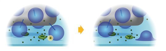 <p>Auf kurzem Weg zum Ziel. Calciumionen müssen nur eine winzige Distanz zurücklegen, um in Haarzellen des Innenohres ihre Empfangsstation auf der Oberfläche von Vesikeln der Neurotransmitter zu erreichen.</p>