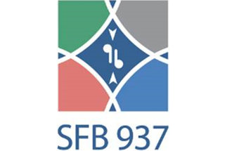 SFB 937 - Sonderforschungsbereich der DFG
