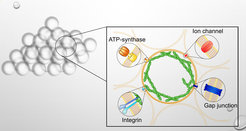 Schematischer Aufbau des künstlichen Schaums