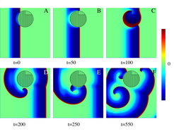 A plane excitation wave hits an obstacle. In the obstacle the “tissue” is “healthier” than its surrounding. The “healthy tissue” (dark shaded) has a small region (light shading) which is a little less “healthy”. As time progresses the plane wave breaks (D) and a rotor is created, which breaks again and multiple rotors emerge (F) that create fibrillation.