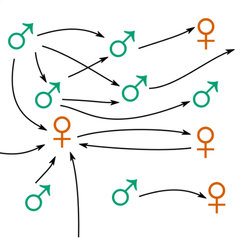 Directed graph representing peer-reviewer interactions