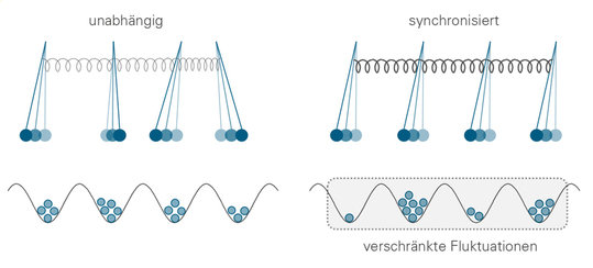 <span>Links schwingen Pendel nicht synchronisiert, rechts haben sie sich von selbst zu einem synchronisierten Schwingen organisiert. Bei Quantensystemen kann eine solche klassische Synchronisation der „rauchende Colt“ für Verschränkung sein. Diese Vorhersage der deutsch-italienischen Kollaboration um Marc Timme und Dirk Witthaut lässt sich im Labor überprüfen.</span>