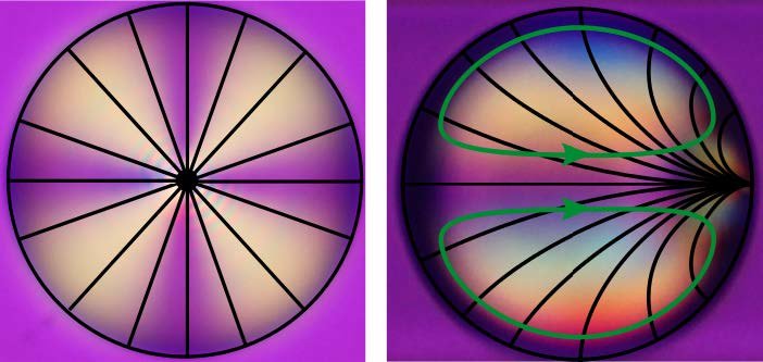 Deformation of the nematic order in a moving droplet, shown by polarised microscopy
