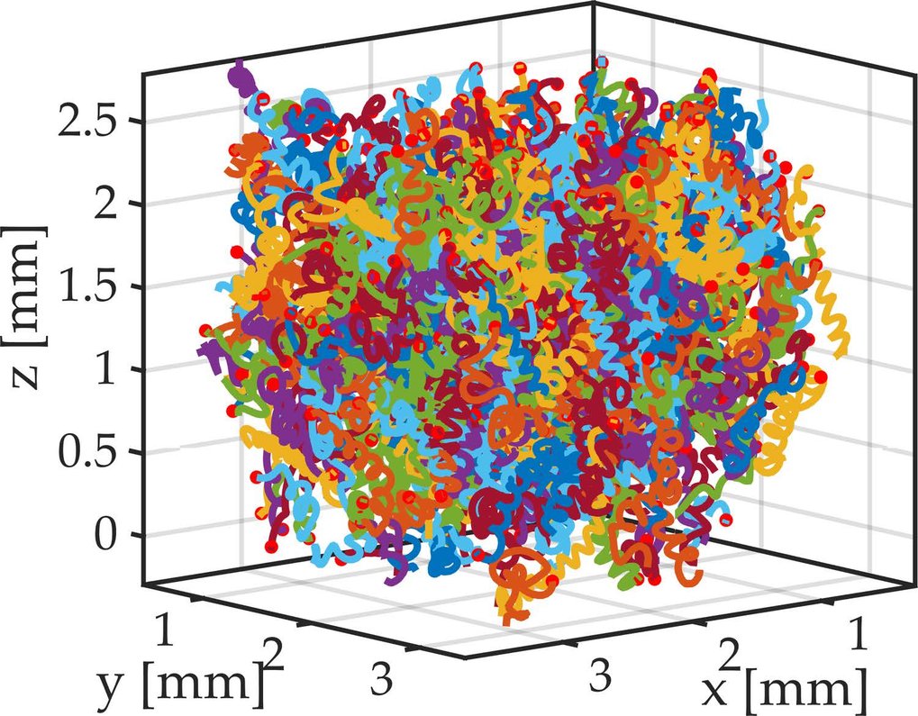 Many interacting swimmers tracked simultaneously