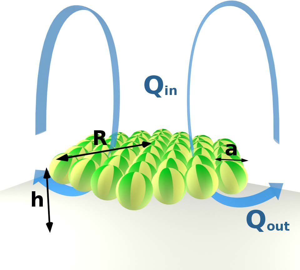 Droplet "hovercrafts" creating a toroidal convection roll