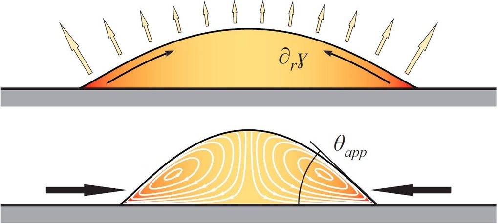 Evaporation induces Marangoni flows in a complex liquid and changes the apparent contact angle