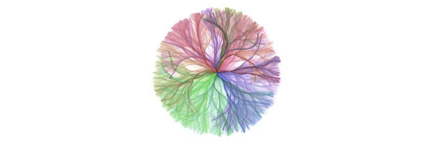 Waves in Complex Media:  Branched Flows and the Statistics of Extreme Waves