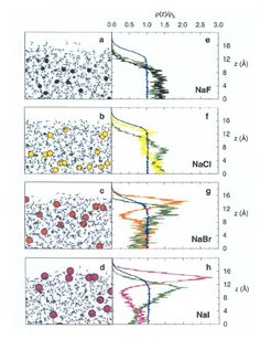 Figure 6Work in collaboration with: B. Winter, I. Hertel (MBI-Berlin), C. Pettenkoffer (HMI-Berlin), P. Jungwirth (Prague), S. Bradforth (U.Southern California). B. Winter is now at Helmholtz Zentrum Berlin/BESSY.