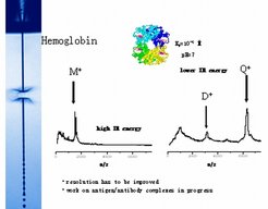 Figure 10Work in collaboration with: B. Abel and his group (U. Göttingen and MPI for biopysical chemistry, now U. Leipzig).