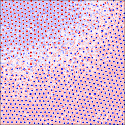 Large-scale ferro-magnetic order of active vortex crystals.