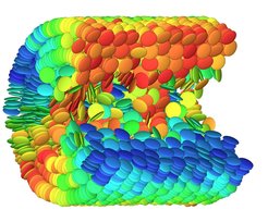 Tree trunk structure in the nanoworld: Within a nanopore, the disc-like liquid crystal molecules arrange themselves in concentric rings.