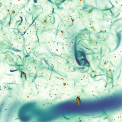 Microswimmers in three-dimensional turbulent flows exhibit complex dynamics.