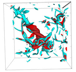 Regions of intense vorticity (cyan) and of intense strain (red) in a turbulent flow. A subdomain of size (150η)3, where η is the Kolmogorov scale, of the full computational domain is shown. The colored regions correspond to an intensity of vorticity or strain larger than ˜7 times their r.m.s.. The Reynolds number of the flow is Reλ = 650.