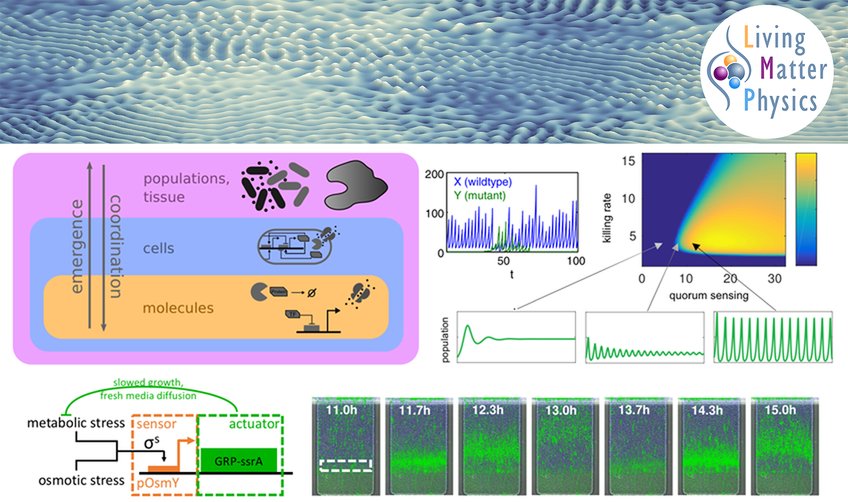 Emergent Dynamics in Living Systems Emergent Dynamics in Living Systems