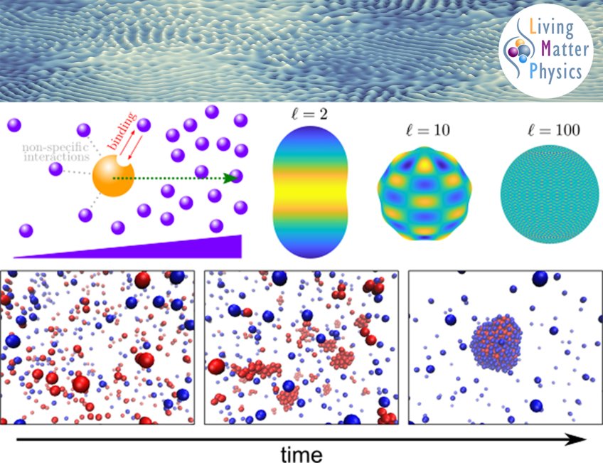 Chemically active soft matter Chemically active soft matter