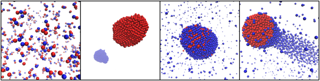 Mixtures of producer and consumer particles can self-organize in many ways. From left to right: formation of small self-propelled molecules composed of just a few particles; complete separation of producers and consumers into distinct clusters; aggregation into a static cluster with precise composition; aggregation into a self-propelled comet-like cluster.