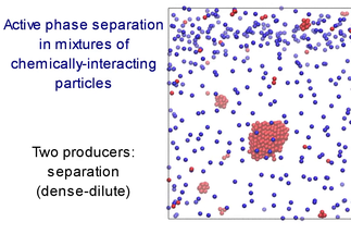 Active Phase Separation