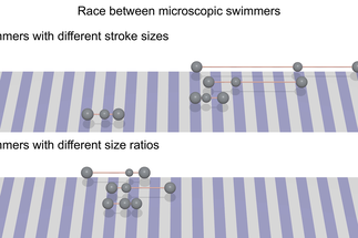 Race between microswimmers