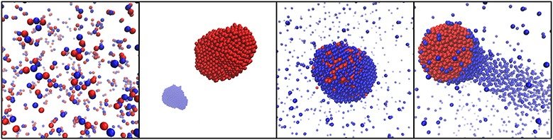 Abteilung Physik lebender Materie