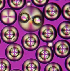 Seedless, single core and double core droplets
