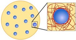 Schematische Darstellung von Tröpfchen, die in ein Polymernetzwerk eingebettet sind