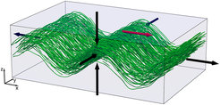 Microtubules (green) form a ribbon that condenses vertically and then forms wrinkles