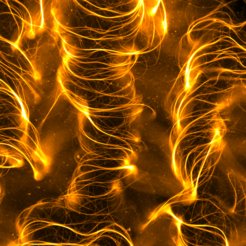 Wave crests and troughs of wrinkled active ribbon under the microscope