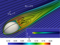 Excess water vapor (S>0) behind a precipitating frozen hydrometeor at 0°C temperature falling through an ambient at -15°C and 90% relative humidity condition. An aerosol in black line can be seen to enter the water vapor rich environment.