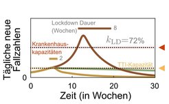 Containment can align itself to capacities on the ICUs, or to the capacity to test, trace and isolate (TTI). Below the TTI capacity limit, far less contact limitation to stabilize the case numbers is needed, because health authorities play an effective part in the containment process. If the TTI capacity is exceeded, a fast lockdown can quickly reduce the case numbers. If too much time passes between xxxxx and xxxxx, a much longer lockdown is needed. TTI capacity limit depends on how well health authorities can work, how willing people are to cooperate and, of course, how much social contact they have. This limit, then, is not constant.