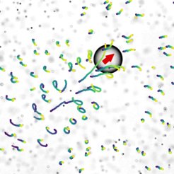 An oil droplet micro-swimmer (moving in the direction of the arrow) is carrying along material from the surrounding. The colored lines show the movement of the cargo particles.