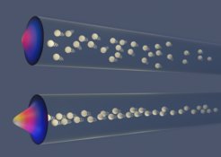 Condensation of magnetic swimmers at the center of a microfluidic channel.Image credits: Viktoria Novak