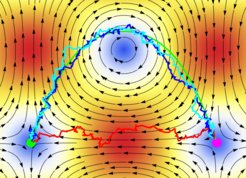 Optimal navigation in a Taylor-Green flow (black arrows). The optimal trajectory linking the green and purple points (green smooth curve) makes use the flow to arrive faster. On the other hand, the trivial policy consisting of swimming towards the target leads the particle to swim counter-flow all the way (red curve). Image credits: Lorenzo Piro.