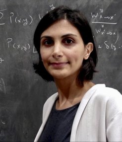 Armita Nourmohammad, laureate of the "Early Career Award" for Biological Physics