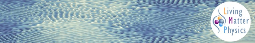 Clustering of Magnetic Swimmers in a Poiseuille Flow