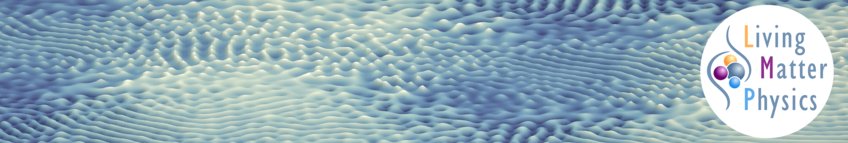 Clustering of Magnetic Swimmers in a Poiseuille Flow Clustering of Magnetic Swimmers in a Poiseuille Flow