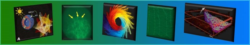 Synthetic biology header