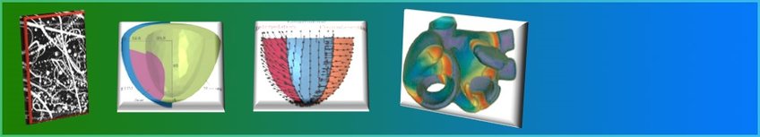 Bioengineering and medical physics header