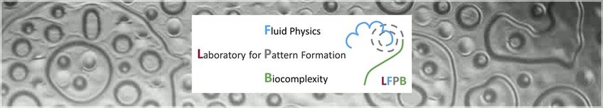 Laboratory for Fluid Physics, Pattern Formation and Biocomplexity (LFPB) header