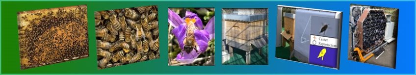 Bees header