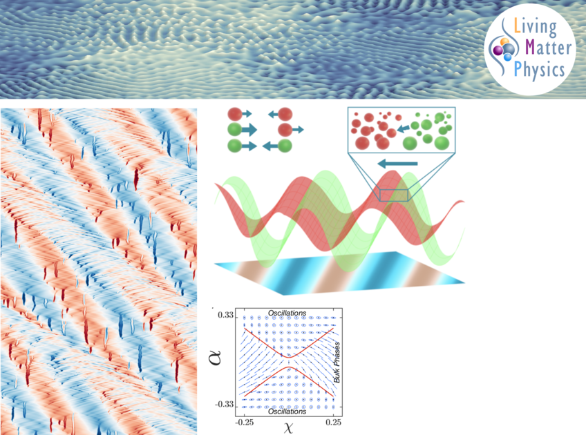 Field Theories of Active Matter