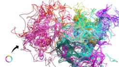 Eine Materiallinie wird durch turbulente Strömung stark verformt