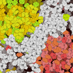 Schematische Darstellung von dicht gepackten Molekülen in einer Zelle. Wechselwirkungen zwischen vielen verschiedenen Molekülen führen zu zwei Arten von Tröpfchen (gelb und rot), eingebettet in die Hintergrundflüssigkeit (weiß). Die Abbildung wurde mit cellPAINT erstellt.