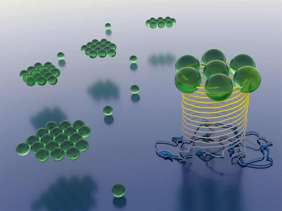 Actieve microzwemmers kunnen clusters vormen die spontaan beginnen te draaien en opstijgen als microscopisch kleine helikopters. Bron: MPI-DS / Maass