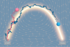 Two microswimmers adapt their orientation to stay close to the illuminated path and reach the target faster. Making this detour can be highly beneficial since the straight way would lead them against the current (indicated by the grey arrows)