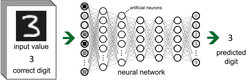 Informationsverarbeitung im Deep Neural Network: Der Inhalt des Bildes (die handgeschriebene Ziffer) wird eingelesen. Die Zwischenschichten nehmen die Information nacheinander auf. Dabei wird sie auf die künstlichen Neuronen verteilt. Am Ende gibt die Ausgabeschicht eine Ziffer aus. Sie sollte mit dem Eingabewert übereinstimmen. Die künstlichen Neuronen spezialisieren sich: Ein Neuron wird dann aktiv, wenn zum Beispiel eine Drei gezeigt wird, ein anderes Neuron wird aktiv, wenn eine Neun gezeigt wird.