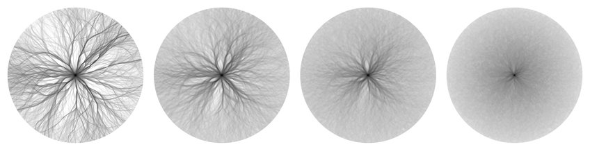 Branched flows in active random walks