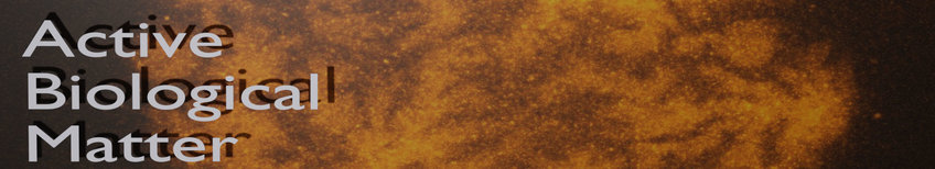 Vahid Nasirimarekani Vahid Nasirimarekani