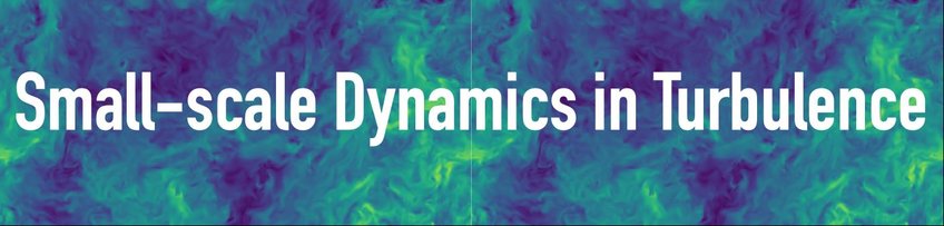 Small-scale Dynamics in Turbulence